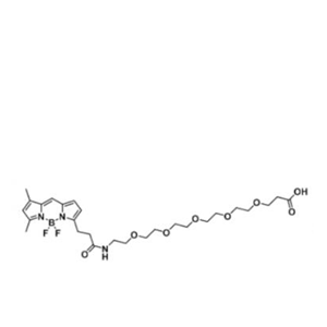 BODIPY FL-PEG6-COOH/carboxylic acid/羧基羧酸