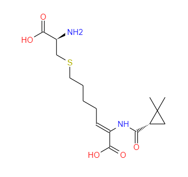 西司他丁,Cilastatin