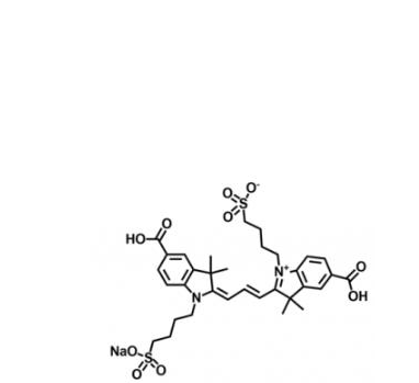 二磺酸基diSulfo-Cy3羧基羧酸,diSulfo-Cy3-bis-carboxylic acid