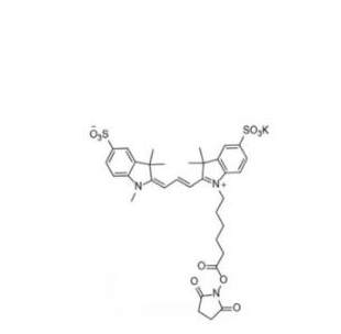 磺酸基Cy3-活性酯(甲基),diSulfo-Cy3 NHS ester(Methyl)