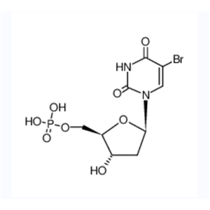5-溴-2'-脱氧尿苷 5'-单磷酸酯	