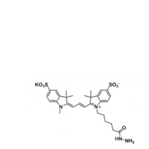 二磺酸基CY3 酰肼