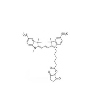 磺酸基Cy3-活性酯(甲基)