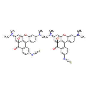 四甲基若丹明B 异氰酸酯	