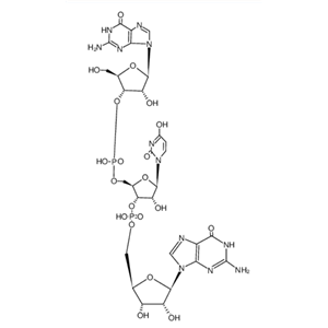 5746-20-3 guanylyl-(3'→5')-uridyl)-guanosine