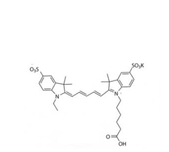 二磺酸基Cy5-羧基(乙基）,diSulfo-Cy5 carboxylic acid(Ethyl)