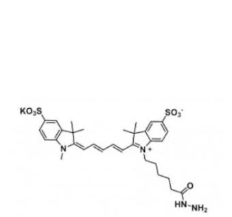 二磺酸基Cy5酰肼,diSulfo-Cy5 Hydrazide