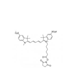 二磺酸基Cy5-活性酯(甲基),diSulfo-Cy5 NHS ester(Methyl)