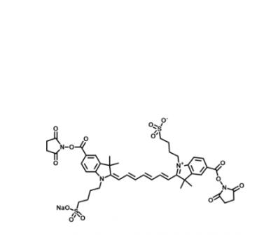 二磺酸基Cy7-双活性酯,diSulfo-Cy7 Bis-NHS ester