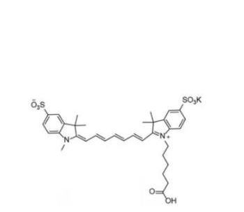 二磺酸基Cy7-羧基(甲基),diSulfo-Cy7 carboxylic acid(Methyl)