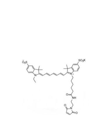 二磺酸基Cy7-马来酰亚胺(乙基),diSulfo-Cy7 maleimide(Ethyl)