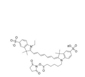 二磺酸基Cy7-活性酯(乙基),diSulfo-Cy7 NHS ester(Ethyl)