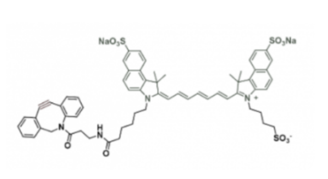 水溶性吲哚菁绿-二苯基环辛炔,disulfo-ICG DBCO