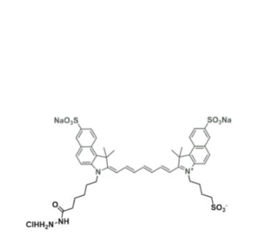 水溶性ICG吲哚菁绿-酰肼,diSulfo-ICG Hydrazide