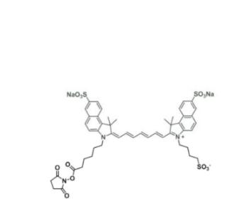 水溶性二磺酸基吲哚菁綠活性酯,disulfo-ICG NHS ester