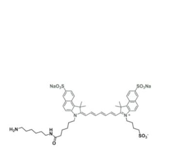 水溶性吲哚菁绿-氨基,disulfo-ICG-amine/NH2