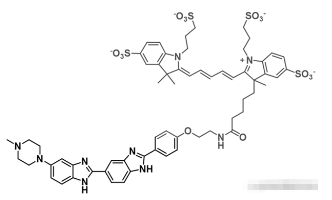 近紅外熒光染料AF 647-Hochest，Hochest-Alexa Fluor 64,Hochest-Alexa Fluor 64