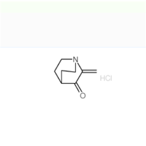 5832-54-2 2-亚甲基奎宁环-3-酮