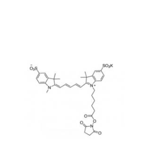 二磺酸基Cy5-活性酯(甲基)