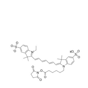 二磺酸基Cy7-活性酯(乙基)