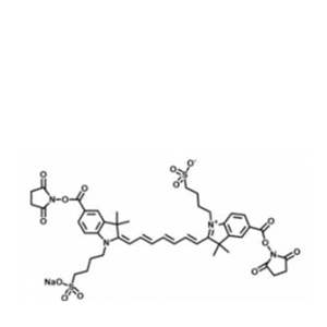 水溶性吲哚菁绿-活性酯(Bis）
