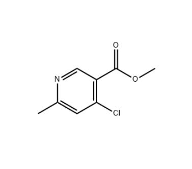 4-氯-6-甲基烟碱酸甲酯,4-CHLORO-6-METHYL-NICOTINIC ACID METHYL ESTER