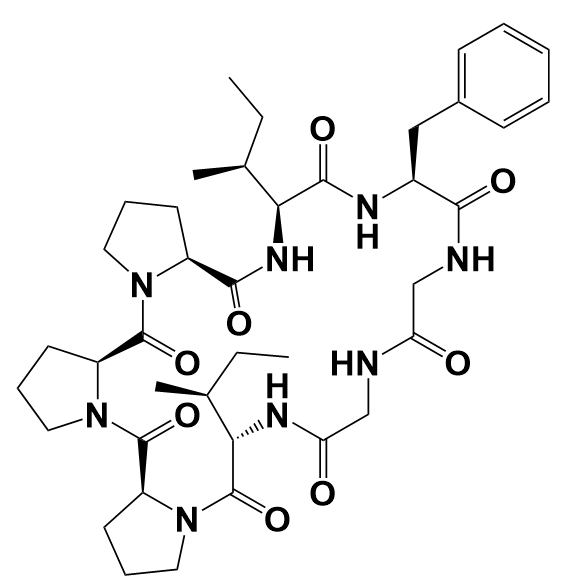 太子参环肽b,Heterophyllin B