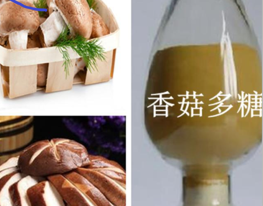 香菇多糖,Shiitake 	polysaccharide