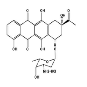 洋红霉素,Carubicin