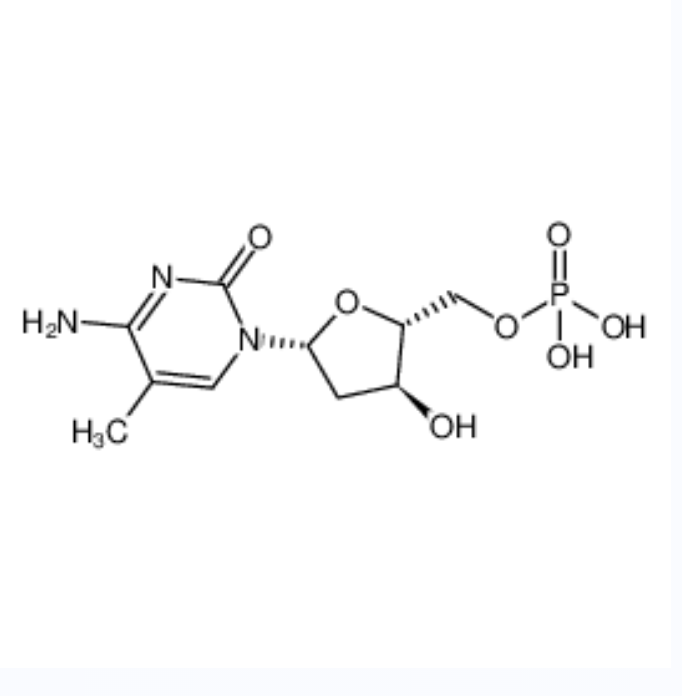 2'-deoxy-5-methyl-5'-cytidylic acid,2'-deoxy-5-methyl-5'-cytidylic acid