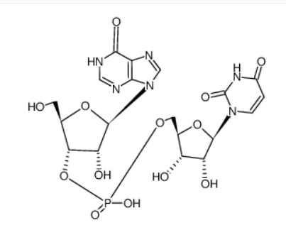 uridylyl-(5'→3')-inosine,uridylyl-(5'→3')-inosine