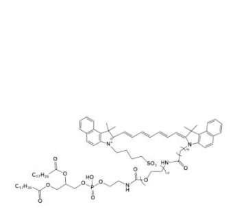 吲哚菁绿-聚乙二醇-磷脂,ICG-PEG-DSPE