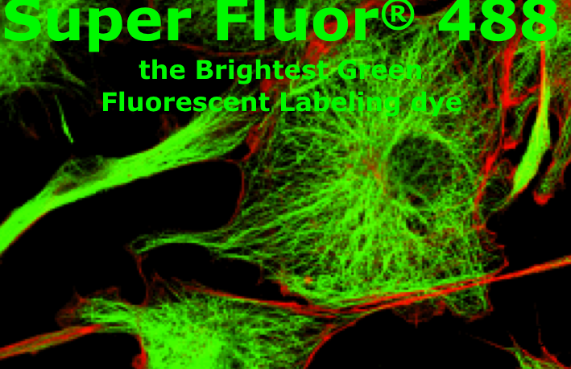 活化酯修饰的荧光染料,Super Fluor 488,SE