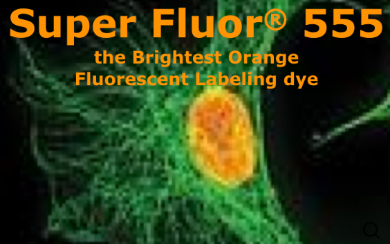 活化酯修饰的荧光染料,Super Fluor 555,SE
