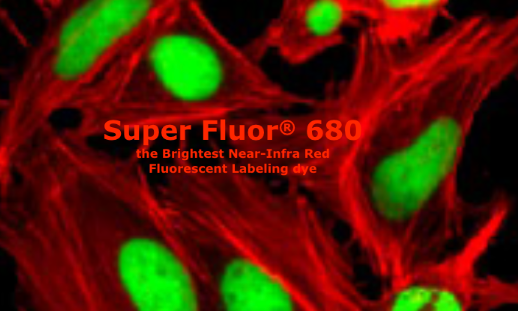 活化酯修飾的熒光染料,Super Fluor 680,SE