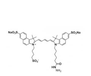 三磺酸基Cy5.5酰肼,triSulfo-Cy5.5 Hydrazide