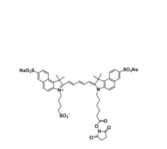 三磺酸基Cy5.5活性酯,trisulfo-Cy5.5 NHS ester