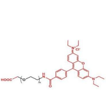 羅丹明聚乙二醇羧基,Rhodamine-PEG-COOH