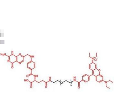 罗丹明聚乙二醇叶酸,RB-PEG-Folate