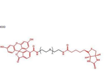 熒光素聚乙二醇生物素,Biotin-PEG-FITC