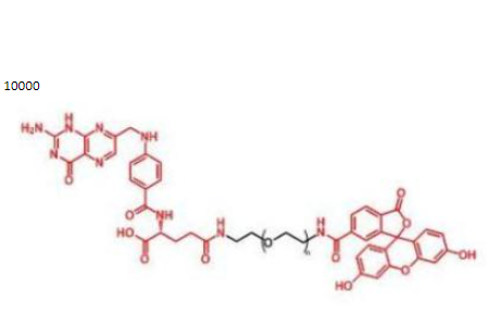 葉酸PEG熒光素，熒光素聚乙二醇葉酸,FITC-PEG-FA
