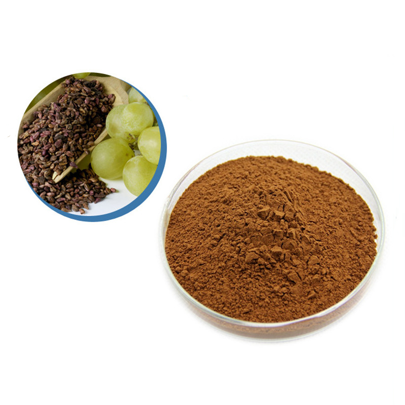 葡萄籽提取物,Grape seed extract
