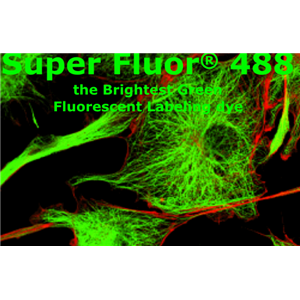 Super Fluor 488，Super Fluor 488,SE