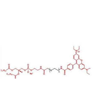 罗丹明聚乙二醇磷脂