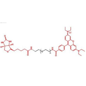 羅丹明聚乙二醇生物素,Rhodamine-PEG-BIOTIN