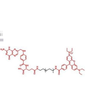 罗丹明聚乙二醇叶酸,RB-PEG-Folate