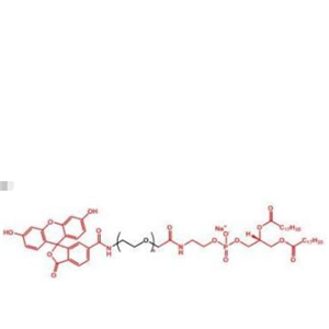 荧光素聚乙二醇磷脂