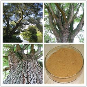 白柳皮提取物 水楊甙98%,Salicin 98% of willow bark extract