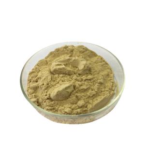 銀杏葉提取物,Ginkgo Biloba Extract Powder