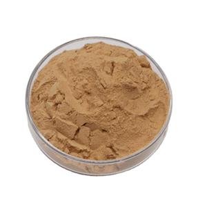 银杏叶提取物,Ginkgo Biloba Extract Powder